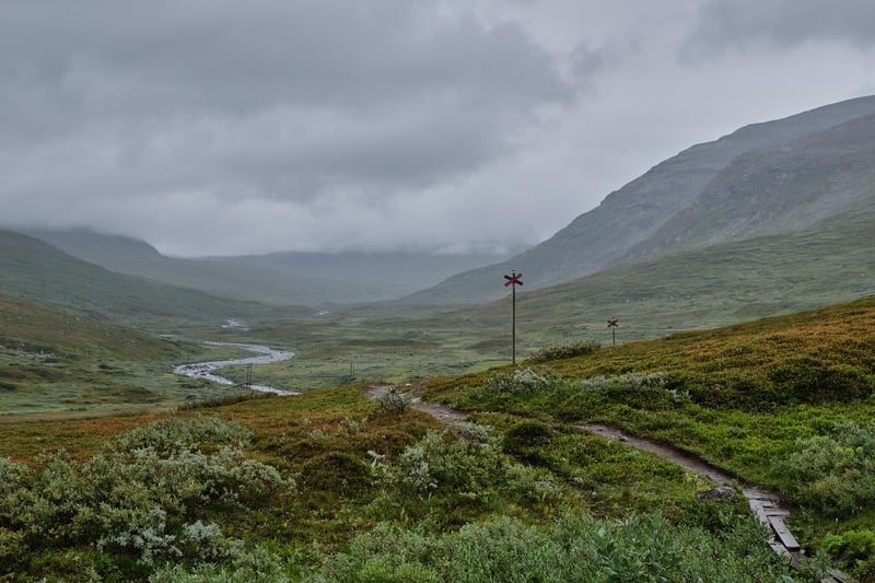 Wilderness Treks