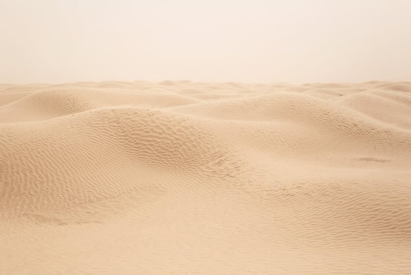 Desert Expedition